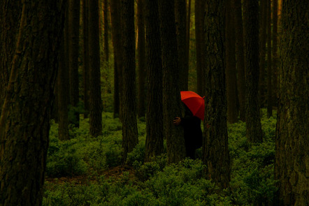 Böcking Sandra - Foto-Desperados - Im Wald - Annahme