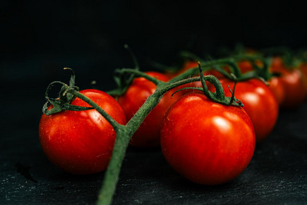 Vogt Karlheinz  - Fotoclub Zeil am Main - Tomaten - Annahme