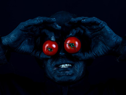 Schmidt Petra - Fotogruppe Blickwinkel Wertingen - Tomaten auf den Augen - Annahme