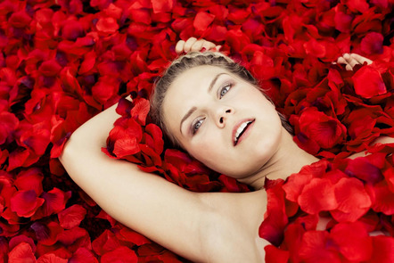 Kleber Günter - Fotofreunde Glonn e.V. - Bed of Roses - Annahme