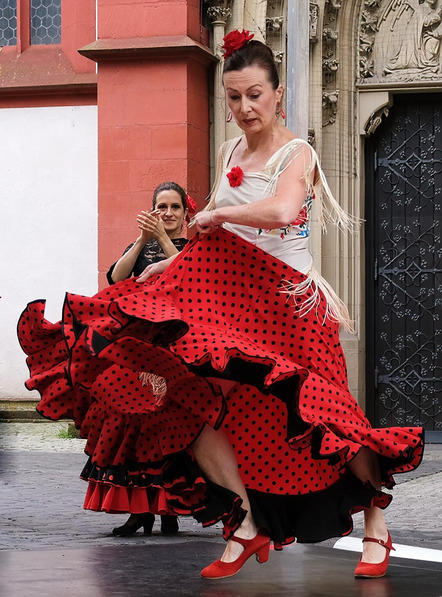 Kürbiß Gottfried - fotoclub würzburg - Flamenco - Annahme