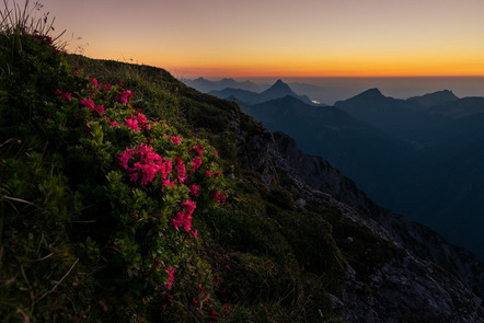 Seitz Robert  - Fotoclub Mindelheim - Früh am Morgen - Annahme