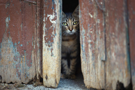 Wollinger Martina - Fotoclub Cham e.V. - in Rethymnon - Annahme