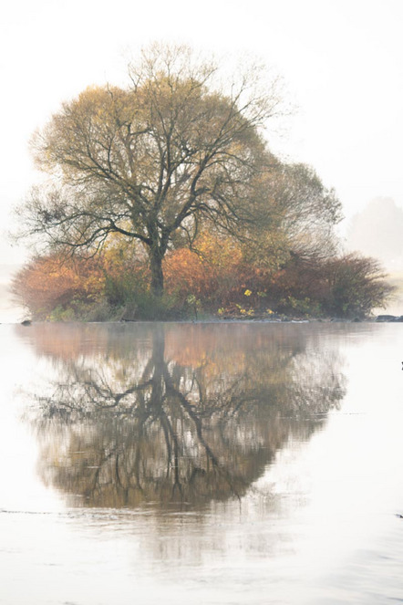 Stich Johann - Fotoclub Regenstauf e.V. - Spiegelung  - Annahme