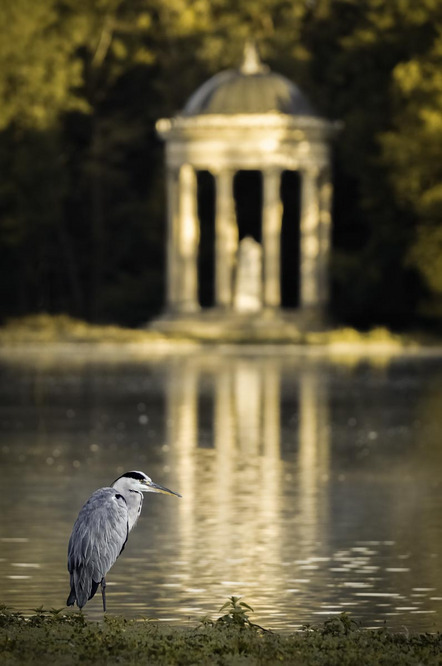 Birmann Tim - Film- und Fotoclub Herrieden e.V. - Apollontempel - Annahme