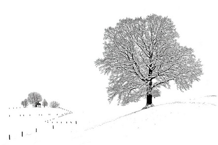 Gabler Martin - Fotofreunde Wiggensbach - Winterstimmung bei Münsing - Urkunde