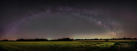 Paul Helmut - Direktmitglied Bayern - View of Grainfields - Annahme