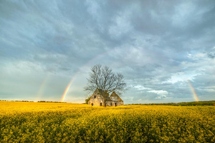 Frank Daniel - Fotoclub Regenstauf e.V. - Vergaenglichkeit - Annahme