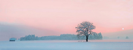 Gabler Martin - Fotofreunde Wiggensbach - winterliche Abendstimmung - Annahme