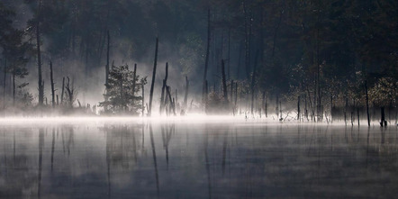 Wildner Wolfram - Fotoclub Erding - Moorseezeichen - Annahme