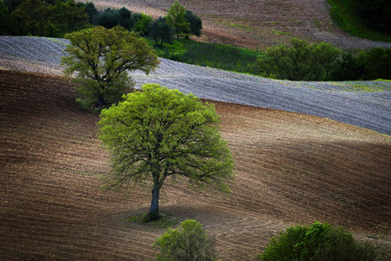 Flieger Heinrich - Fotoclub Pleystein - Frühling - Annahme