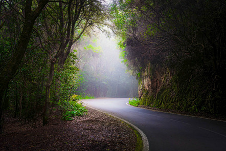 Hofbauer Ingrid - Fotofreunde Glonn e.V. - Green and Fog - Annahme