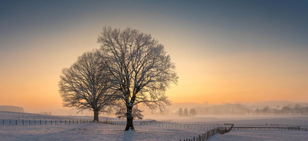 Wiese Dierk - Fotoclub Mindelheim - Winternebel - Annahme