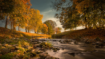 Kienle Anton - Fotoclub Mindelheim - an der Mindel - Annahme