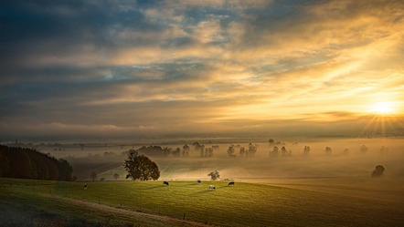 Kienle Anton - Fotoclub Mindelheim - Morgenstimmung - Annahme