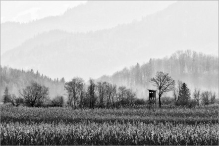 Stegerwald Michael - BSW Fotogruppe Würzburg - Murnauer Moos