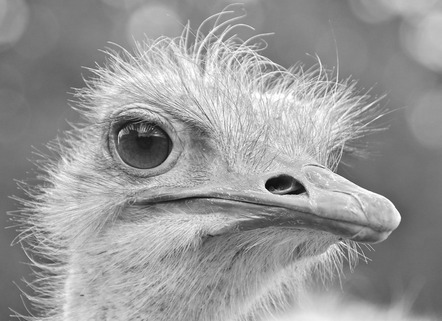 Klein Jürgen - Fotoclub Arzberg - ich hab alles genau im Blick