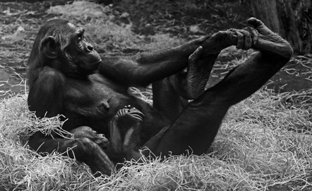 Schreck Jürgen - Fotofreunde Wertheim - Nachgeäfft - Annahme