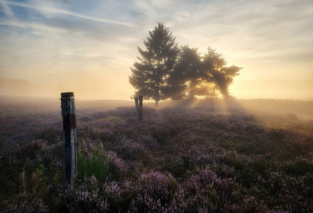 Schreck Jürgen - Fotofreunde Wertheim - Mehlinger Heide - Annahme