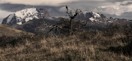 Greither Armin - Fotofreunde Wiggensbach - Aussicht - Annahme