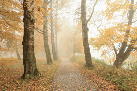 Grimm Martina - Film-und Fotofreunde Oettingen e.V. - Herbstnebel - Annahme