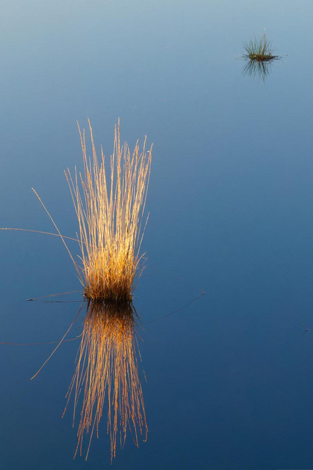 Wildner Wolfram - Fotoclub Erding - Lichtkontrast - Annahme