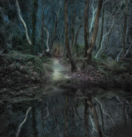 Jürgen Richter - Fotoclub Arzberg - Zauberwald - Urkunde