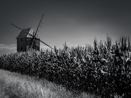 Mike Schwalbach - Direktmitglied Bayern - Windmühle Mocherwitz - Annahme